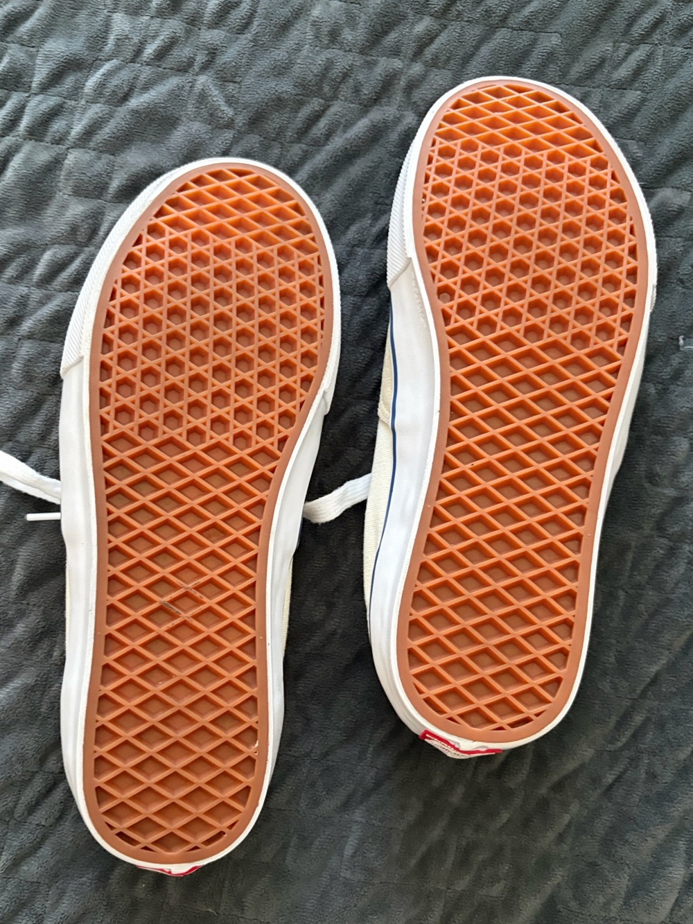 Vans Beige and Blue Low-Top Canvas Sneakers - Picture 6 of 6